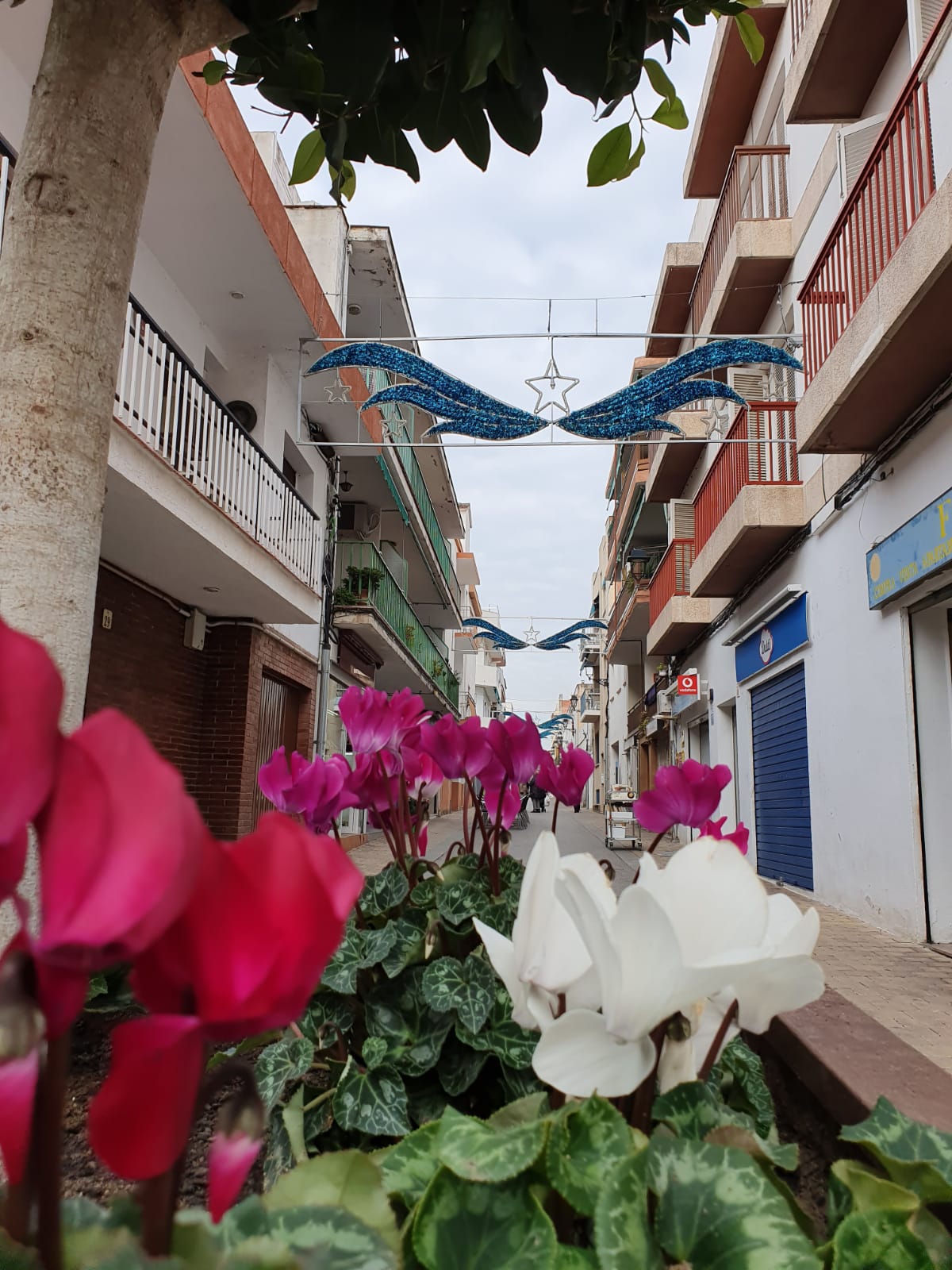 S’instal·len noves jardineres al centre del municipi