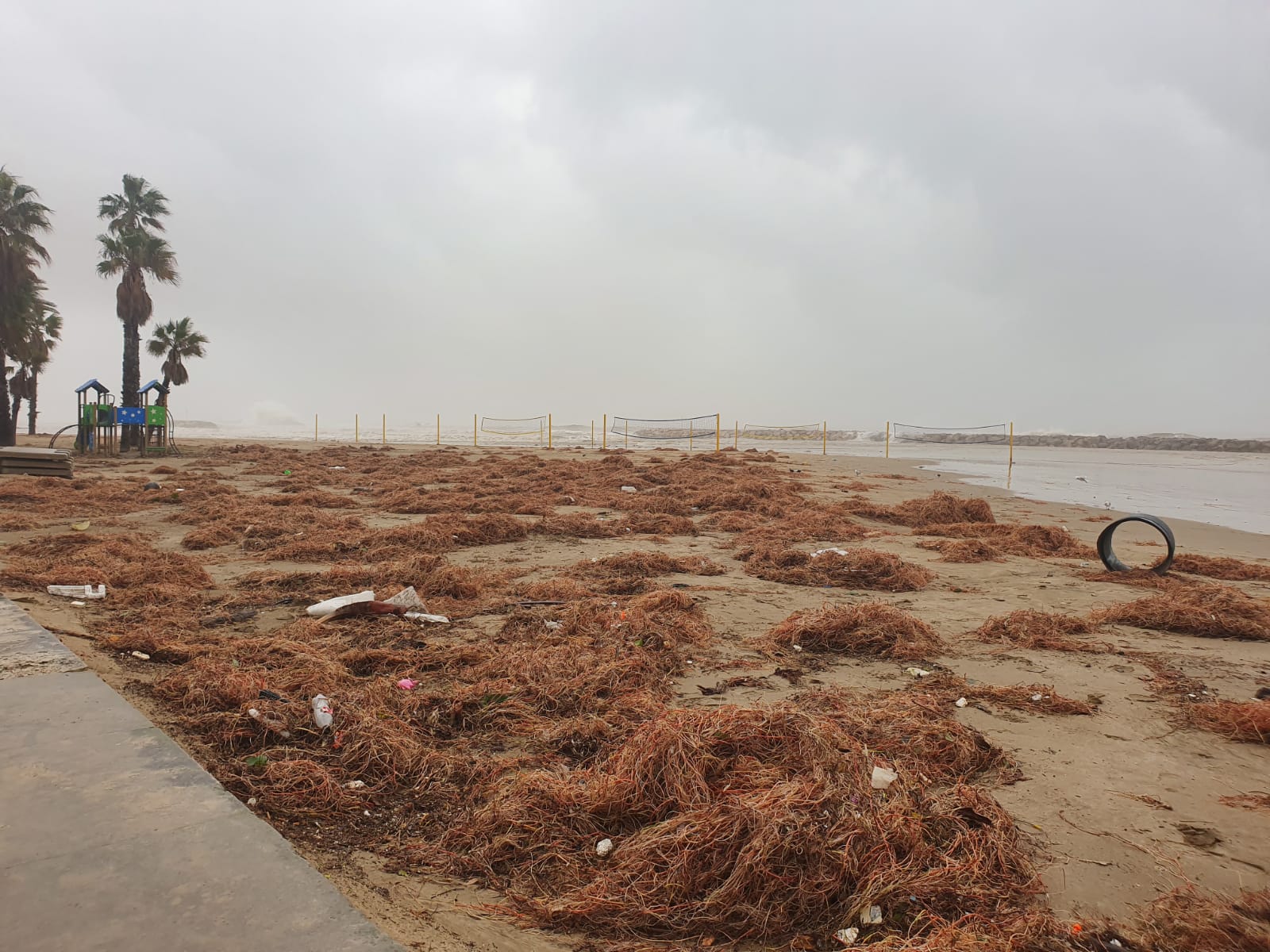 Continuen les tasques de neteja a les platges