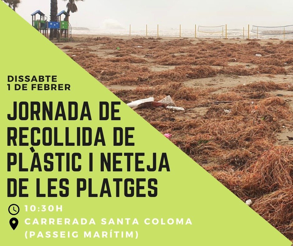Jornada de recollida de plàstics a la platja