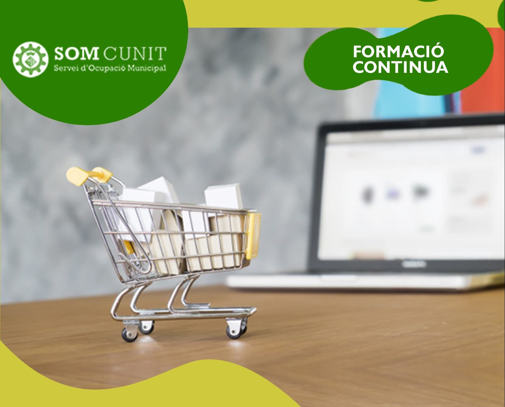Crea la teva botiga online (45h)