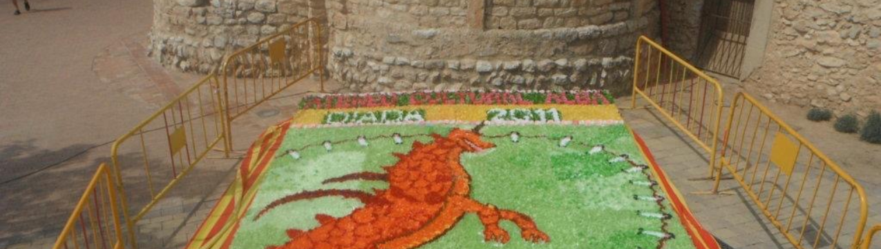 25 anys de catifes de flors de l’Ateneu Alba de Cunit!