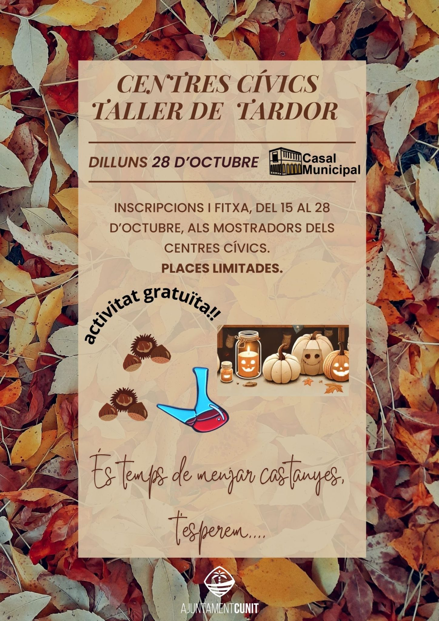 Taller de tardor als Centres Cívics