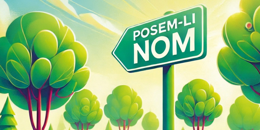 Comença el període de votacions del procés participatiu «Posem-li nom»