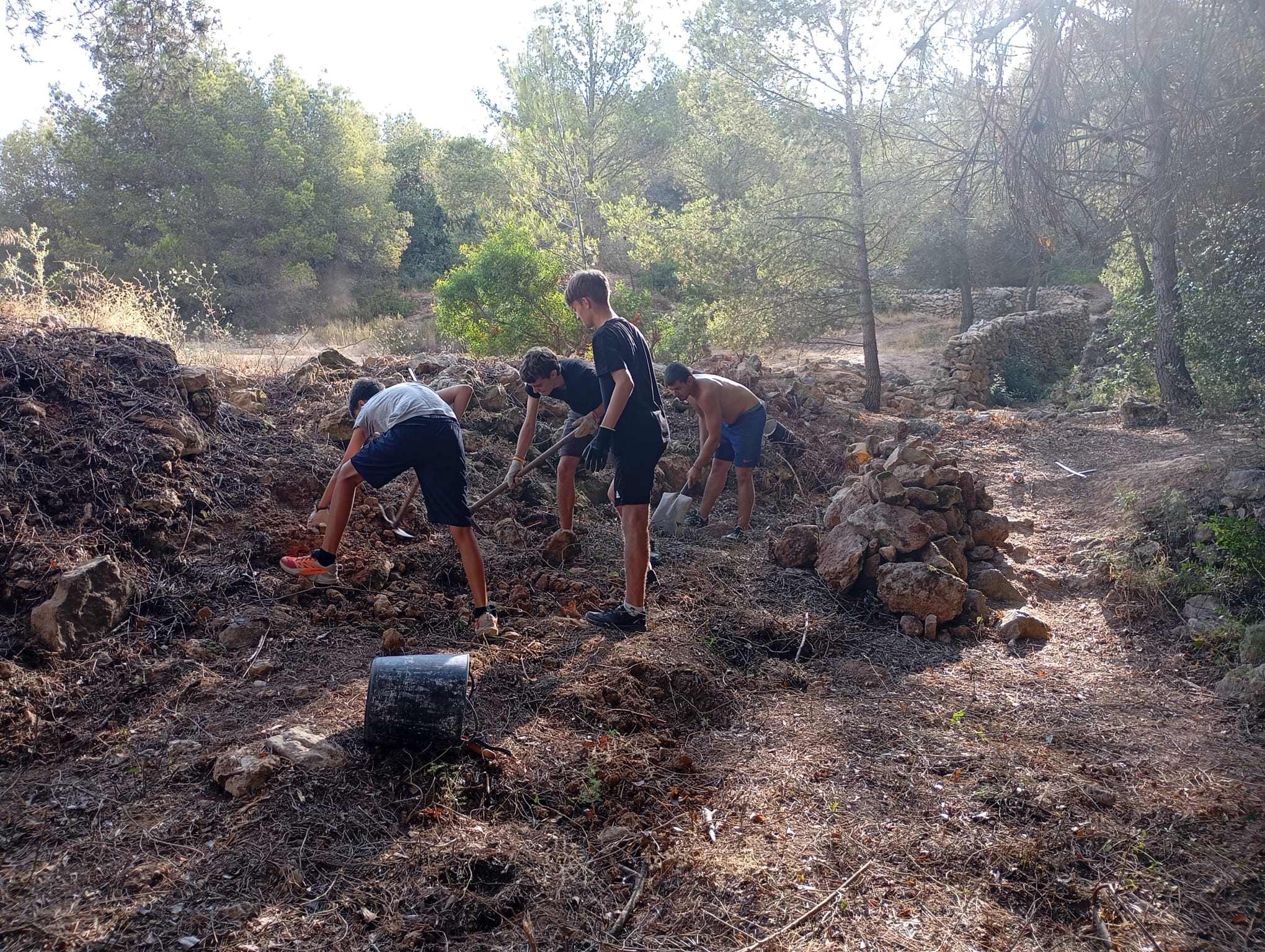 Quinze joves d’arreu de Catalunya participen al camp de treball per a joves que acull el nostre municipi