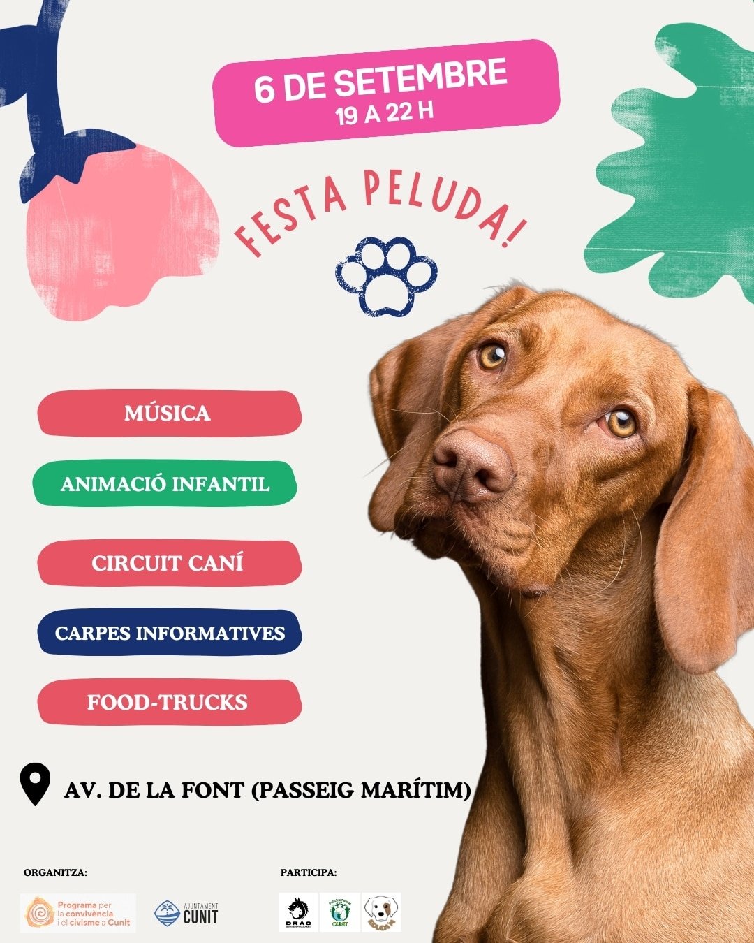 Festa pels animals i les famílies a Cunit: música, animació i obsequis el 6 de setembre