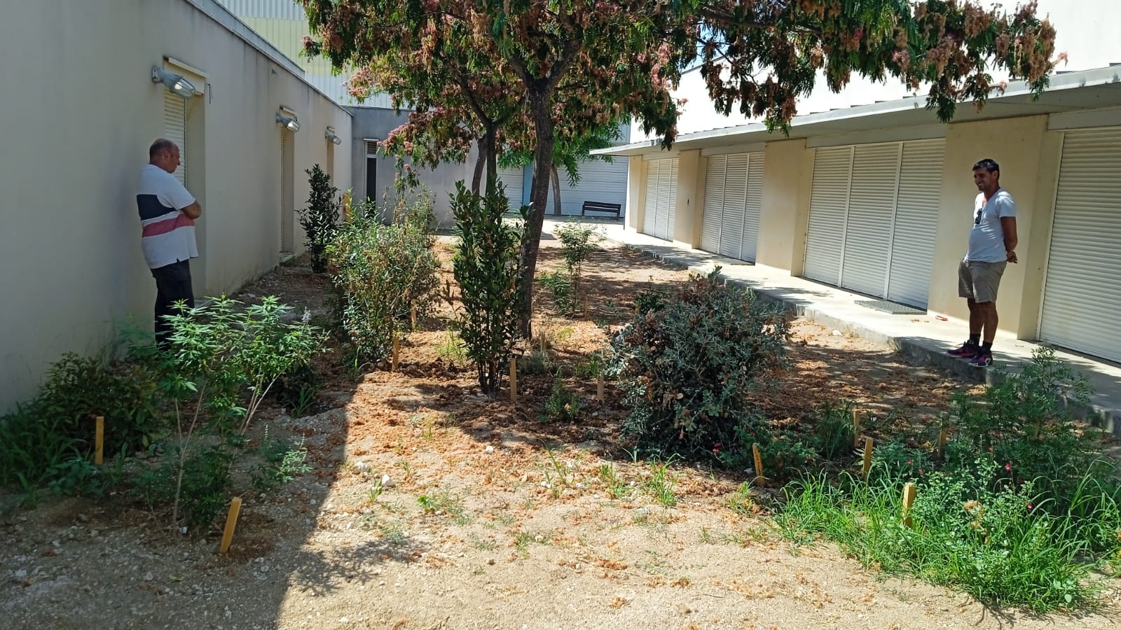 El Consell d’Infants de Cunit transforma els patis escolars amb una plantada col·lectiva