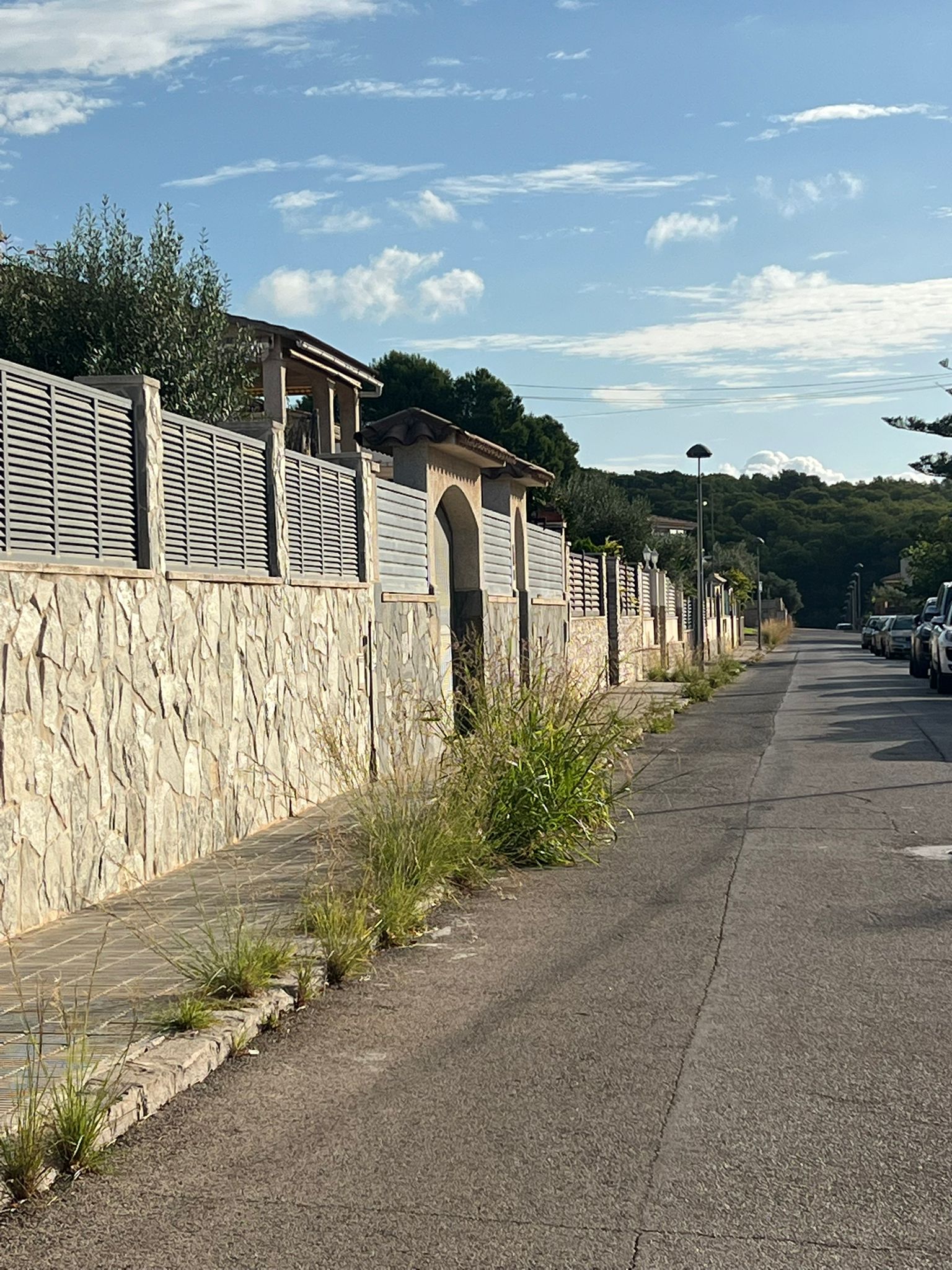 Cunit engega un pla de xoc per retirar les herbes dels carrers