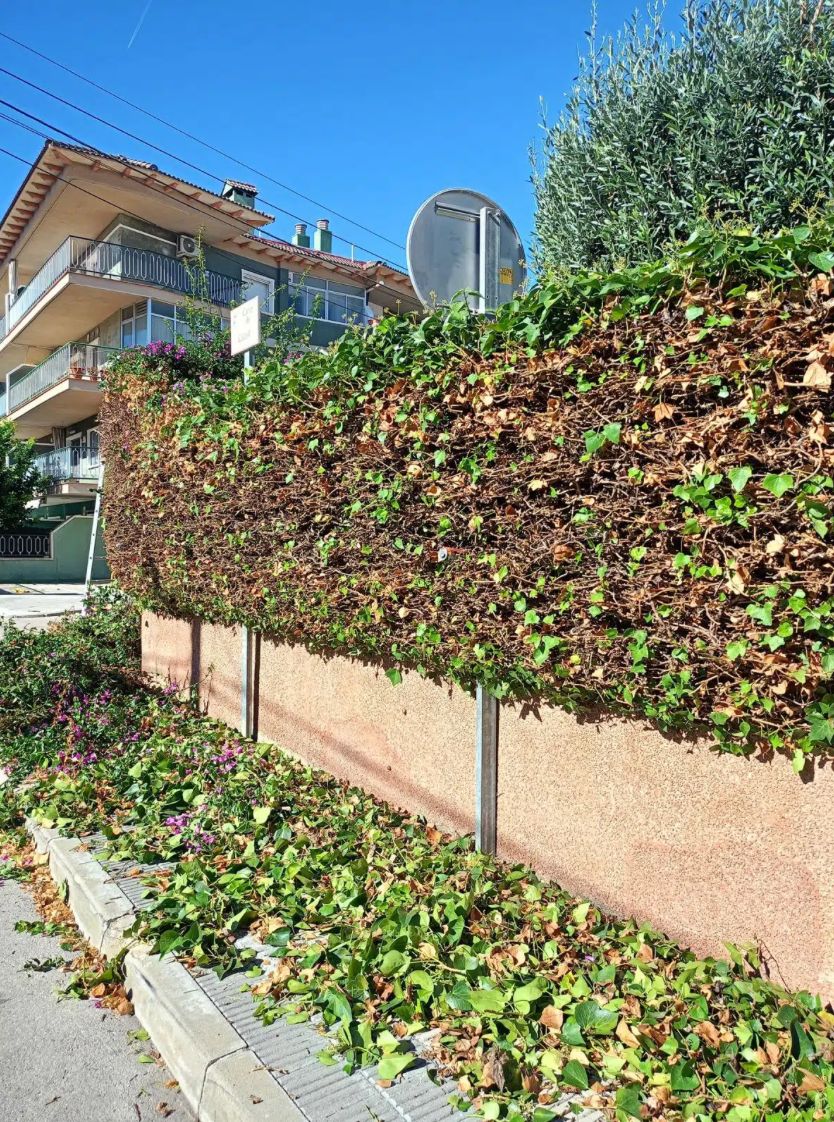 Els agents cívics impulsen la campanya de control de la vegetació privada