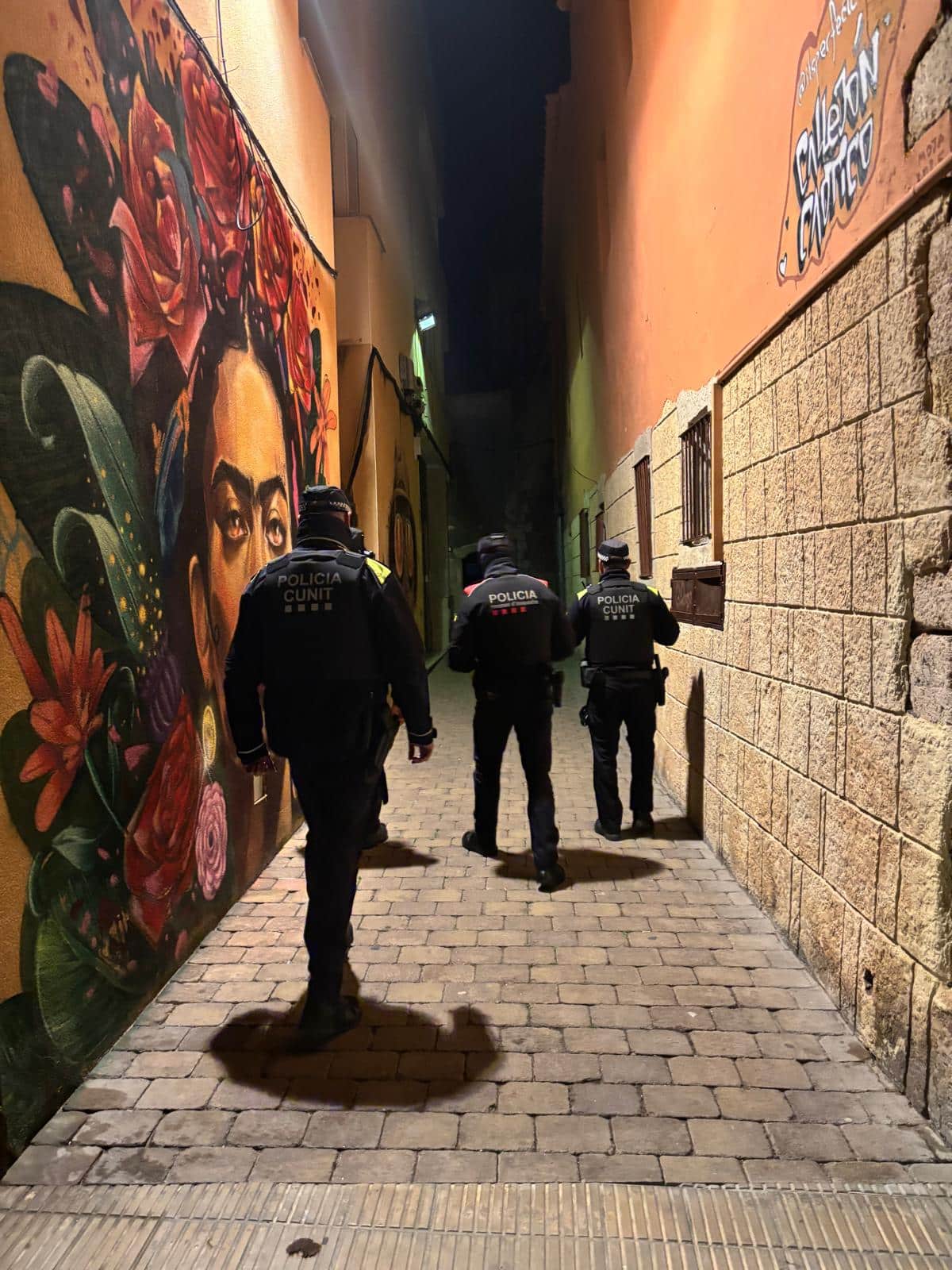 Actuació conjunta de la Policia Local i Mossos d’Esquadra permet identificar els presumptes autors de dos robatoris violents a Cunit