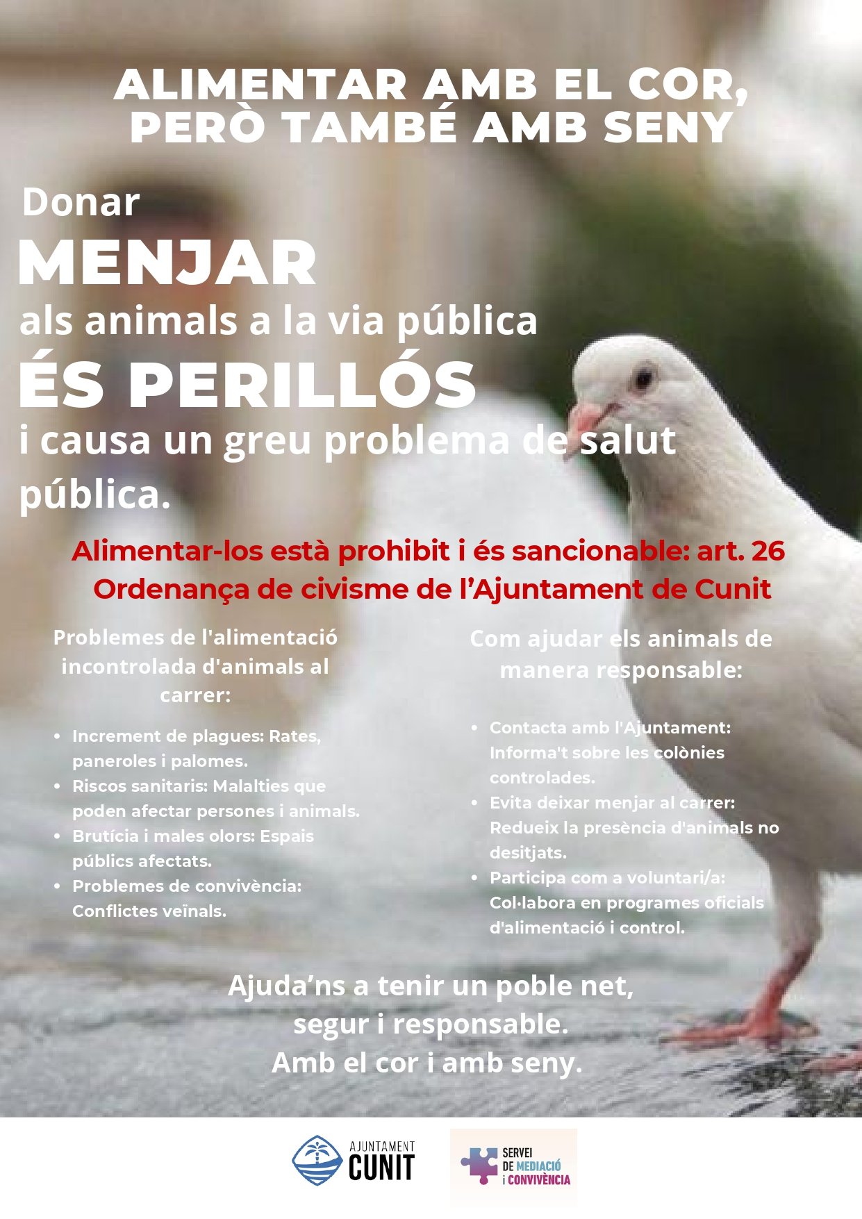 L’Ajuntament de Cunit duu a terme una campanya de sensibilització en salut pública sobre l’alimentació d’animals a la via pública